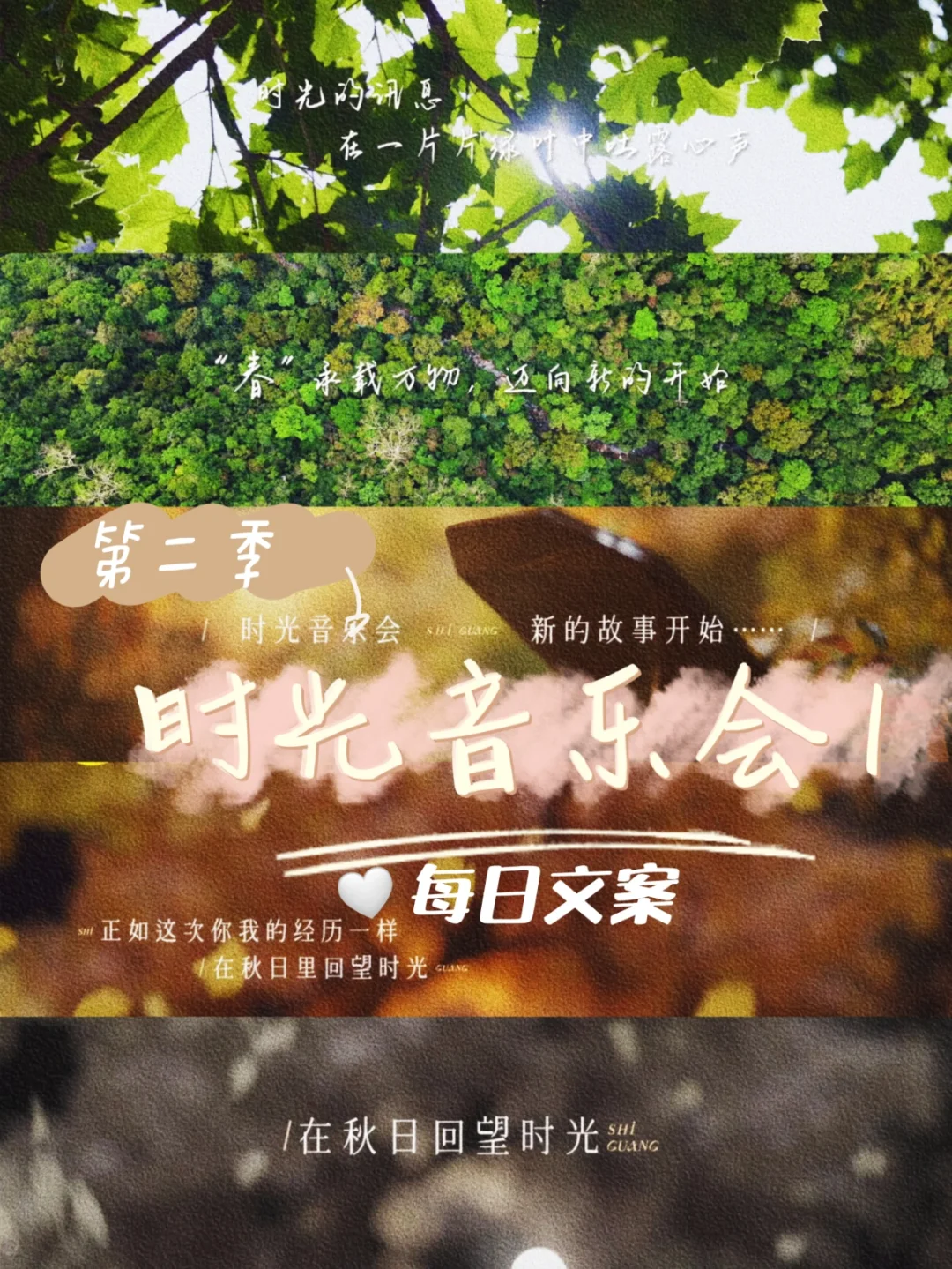 中央音乐台节目歌曲表_中央电视音乐节目_中央15音乐频道节目表