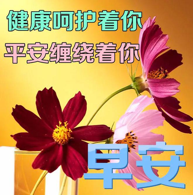朝阳桥医院有皮肤科吗_朝阳桥有什么医院_朝阳桥附近医院