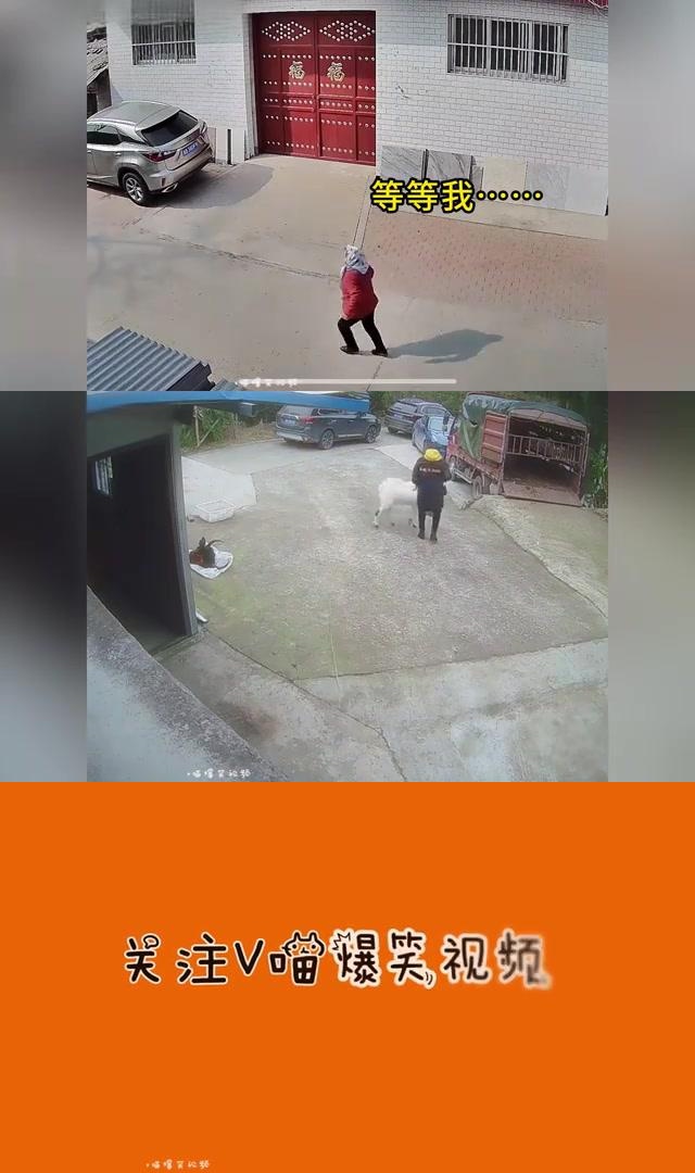 照片恢复大师会员_恢复会员大师图片可以保存吗_图片恢复大师会员真可以恢复吗