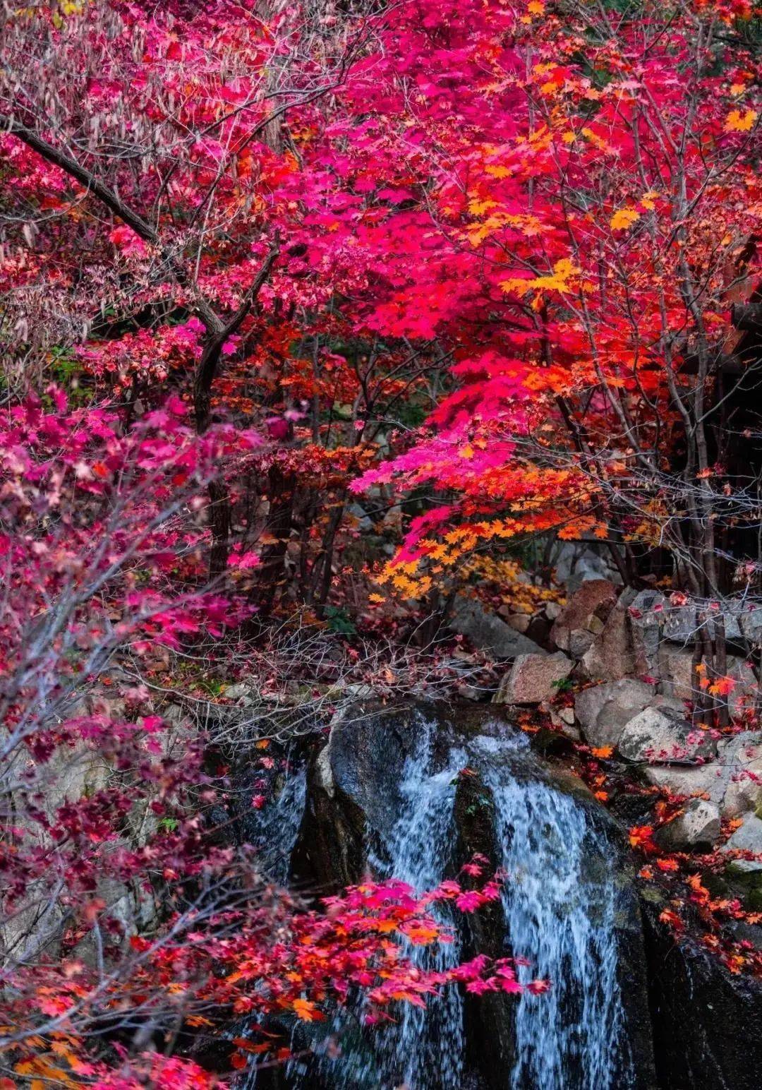 济南市匡山小学_济南市匡山小区_济南市匡山