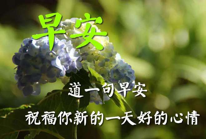 例子的英文单词_例子怎么写_haiku例子