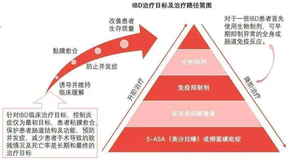 克罗恩病最新治疗成果_克罗恩病最新治疗成果_克罗恩病最新治疗成果