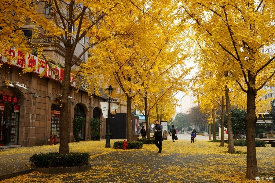 叠加宽带路由推荐_路由器 宽带叠加_宽带叠加路由器