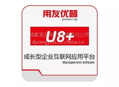 用友家庭版能用吗_windows7家庭普通版能下载用友不_用友可以下载吗
