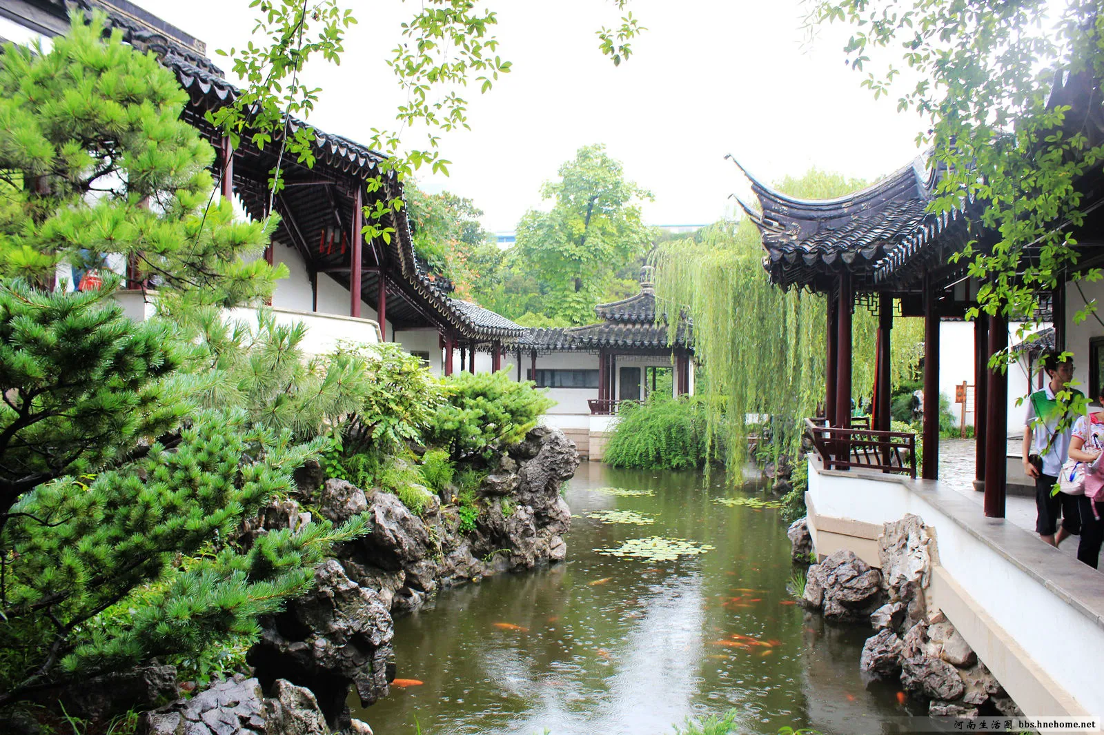 安易市场旧版_安易市场._市场安那其