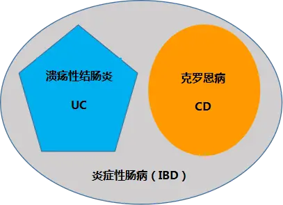 l克罗恩_克罗恩怎么引起的_克罗恩最终会怎样