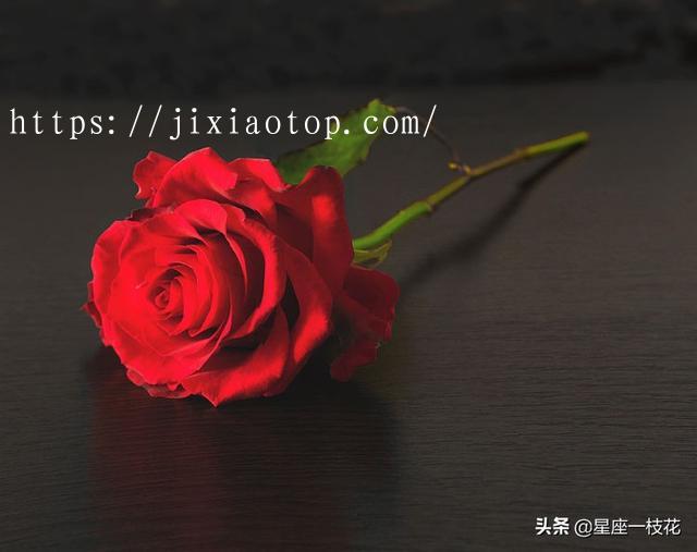 qtqdialog_代码生成器_qdialog代码