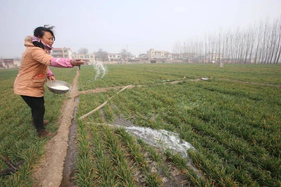 初期数据是什么意思_初始数据分析_安易期初数据