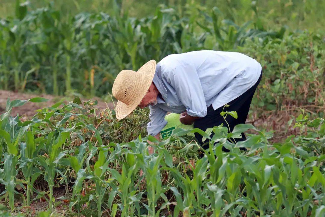 初期数据是什么意思_初始数据分析_安易期初数据
