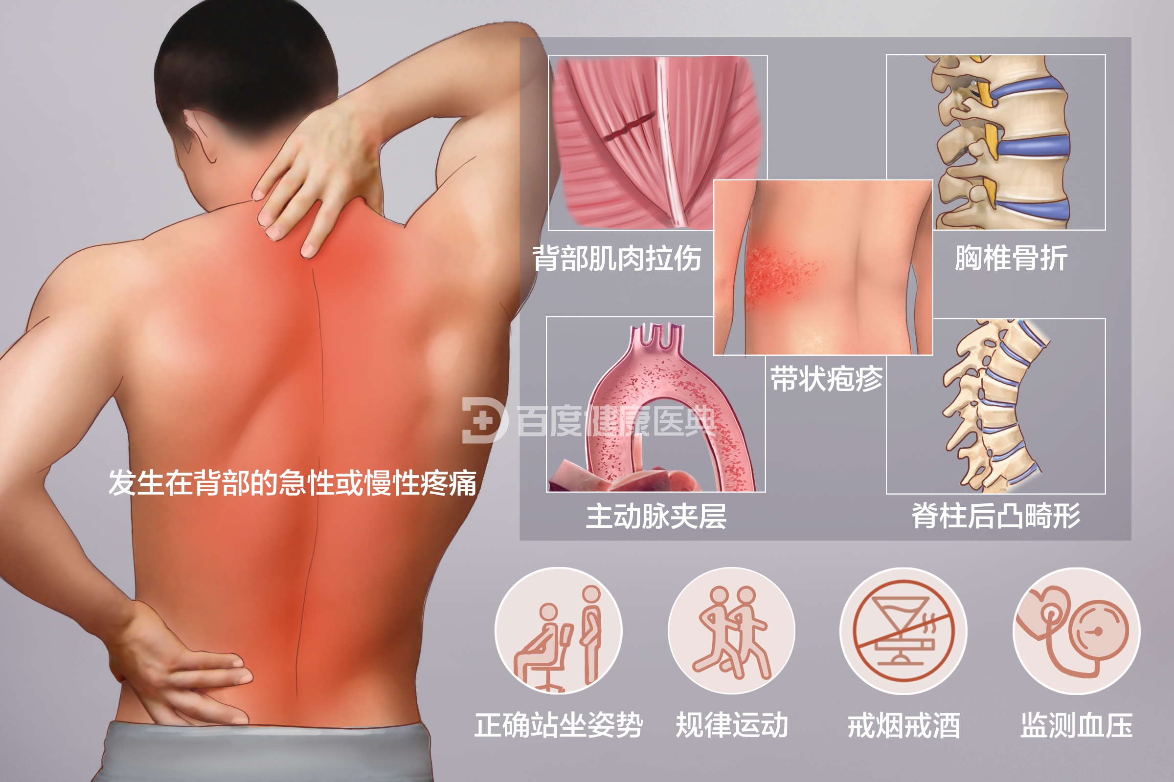 背部原因疼痛呼吸不畅_背部呼吸疼痛的原因_背部痛呼吸都痛