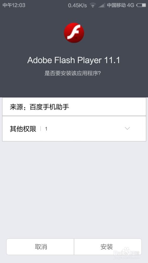 安卓系统可以安装flash,安卓系统Fl