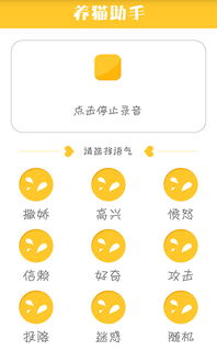 养猫攻略系统和安卓,安卓系统下的智能养宠