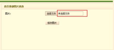 安卓读取系统图片路径,解锁图片路径的奥秘