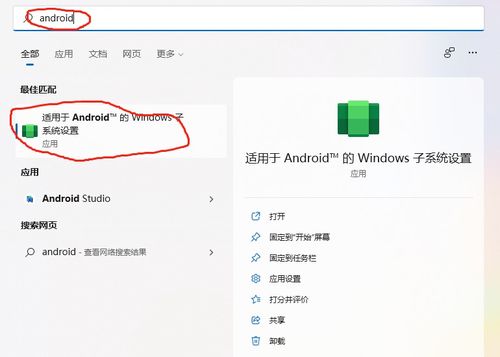 安卓怎么用windos系统,基于Wind