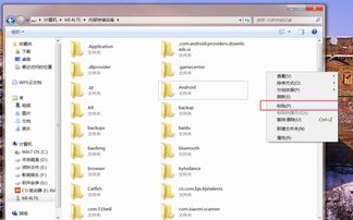 电脑安卓系统视频软件,全面概述与深度体验