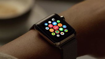 安卓系统如何使用iwatch,打造智能生