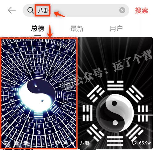 鸟窝动态壁纸安卓系统,安卓系统下的生态画