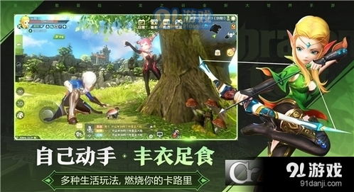 龙之谷安卓系统,体验史诗级冒险