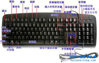 安卓全系统键盘,便捷输入体验的全面解析